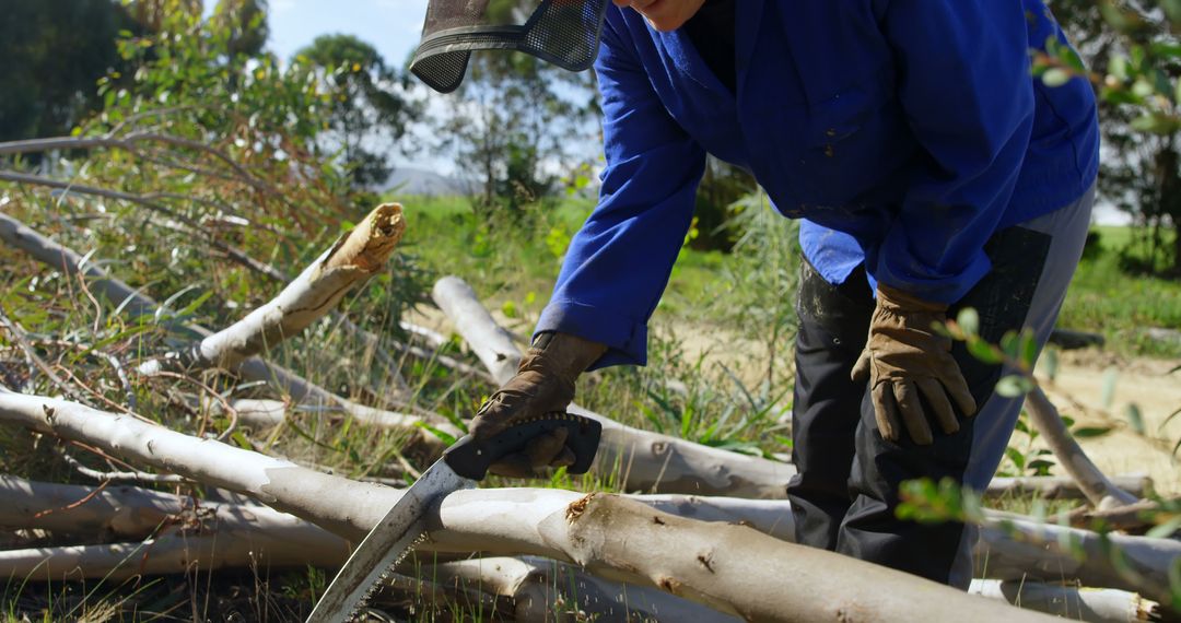 Worker Cutting Tree Branches with Saw in Forest - Free Images, Stock Photos and Pictures on Pikwizard.com