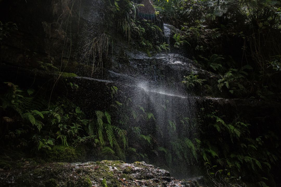 Lush Jungle Waterfall with Dripping Ferns and Moss