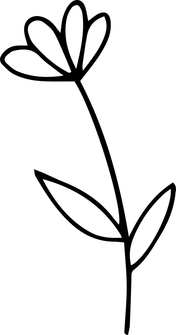 Minimalist Transparent Flower Line Art with White Petals