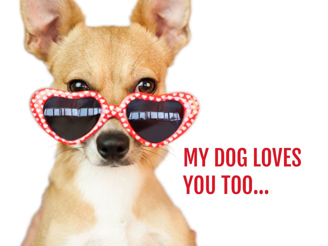 Charming Dog with Heart Sunglasses Expressing Playful Love