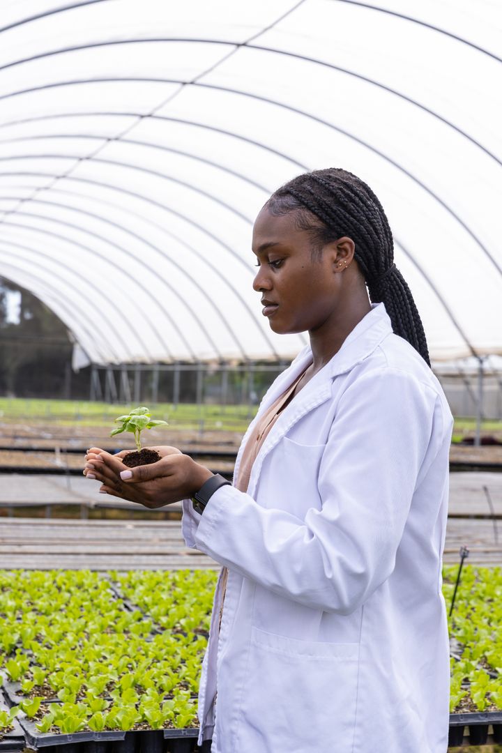 Scientist Examining Seedling in Modern Greenhouse
