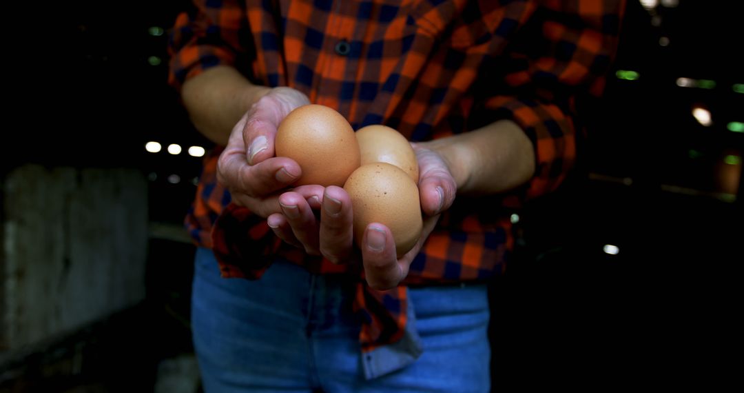 Close-up of Farmer Holding Fresh Brown Eggs - Free Images, Stock Photos and Pictures on Pikwizard.com