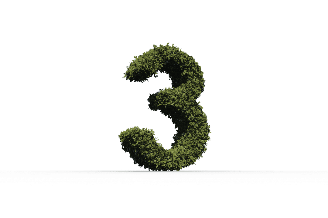 Transparent Nature-Inspired Number Three Made of Leaves