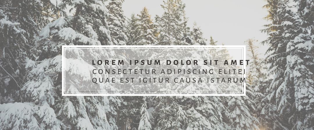 Snowy Forest with Promotional Text Placeholder - Download Free Stock Templates Pikwizard.com