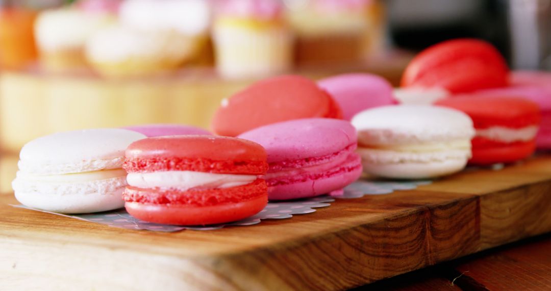 Tray of macaroons on counter in cafe 4k - Free Images, Stock Photos and Pictures on Pikwizard.com