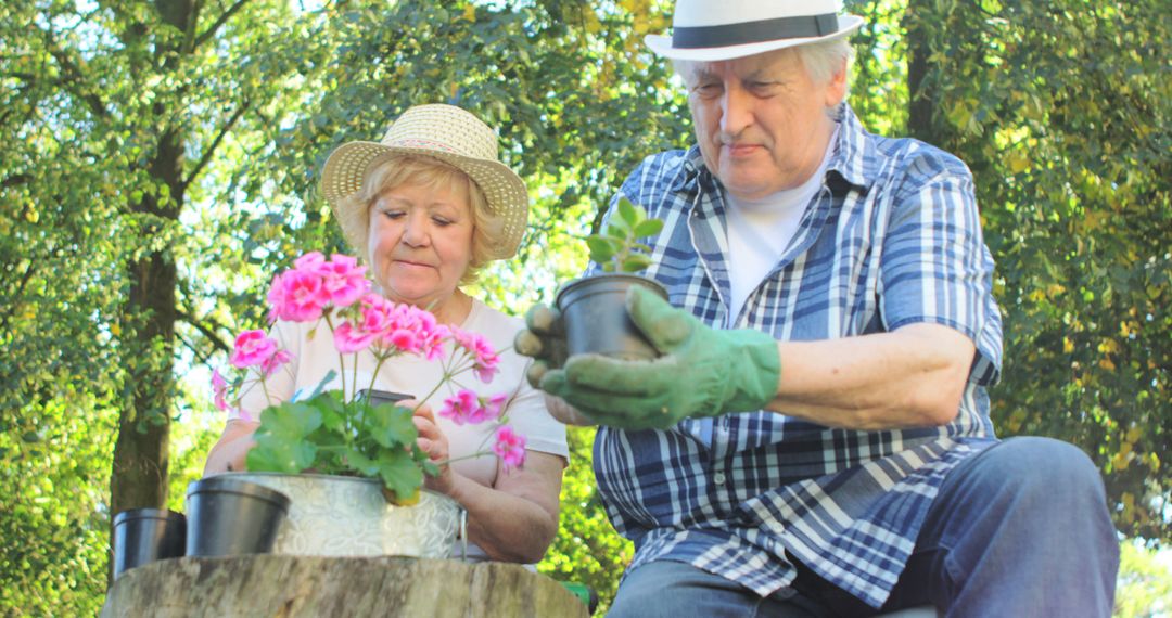 Senior Couple Enjoying Outdoor Gardening Together - Free Images, Stock Photos and Pictures on Pikwizard.com