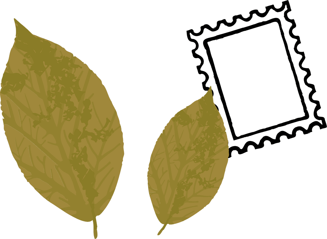 Elegant Botanical Leaves with Stamp Frame on Transparent Background