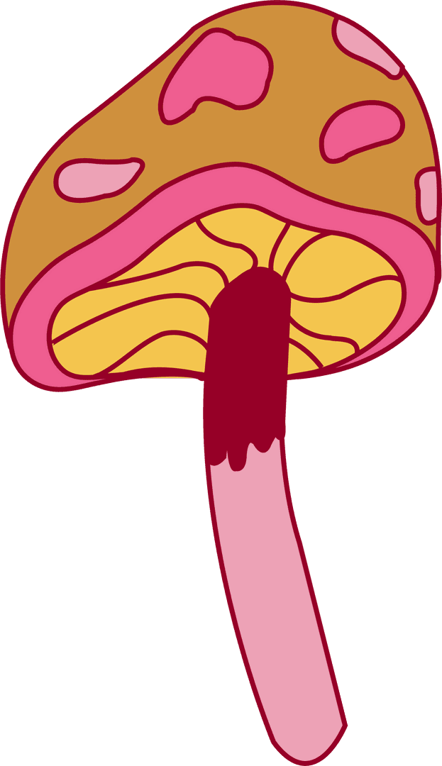 Whimsical Surreal Mushroom on Transparent Background