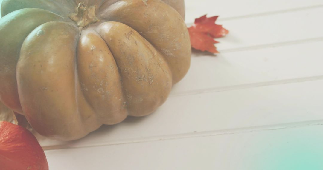 Resting Rustic Ribbed Pumpkin on White Beadboard with Autumn Leaves and Soft Light