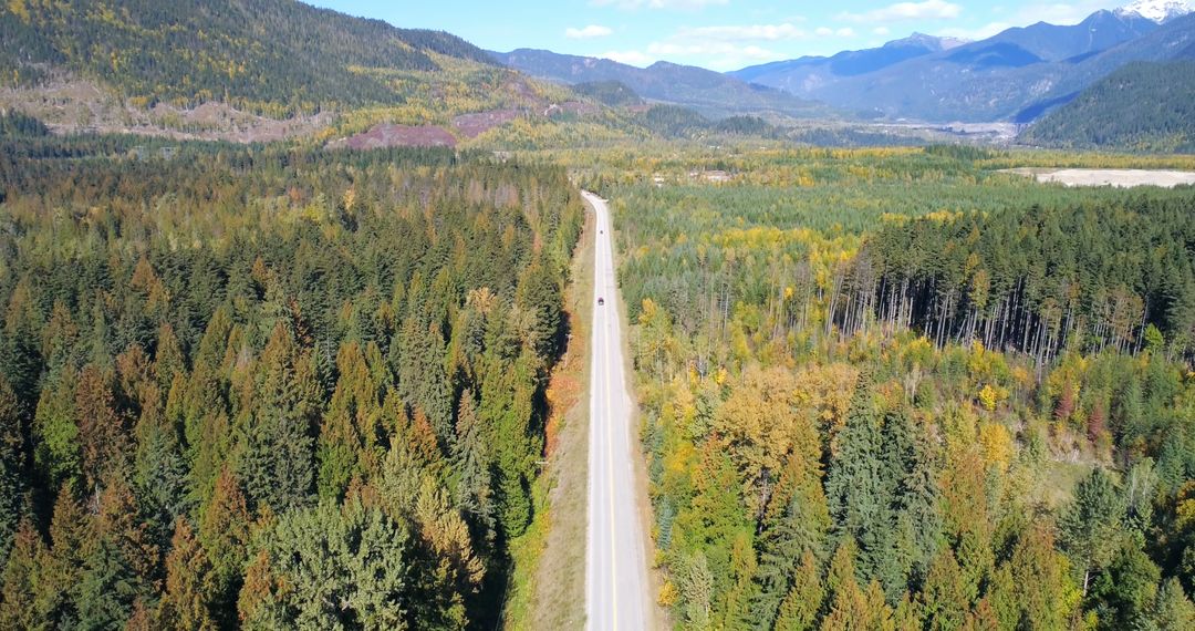 Aerial View of Expansive Forest and Road Leading to Mountains - Free Images, Stock Photos and Pictures on Pikwizard.com