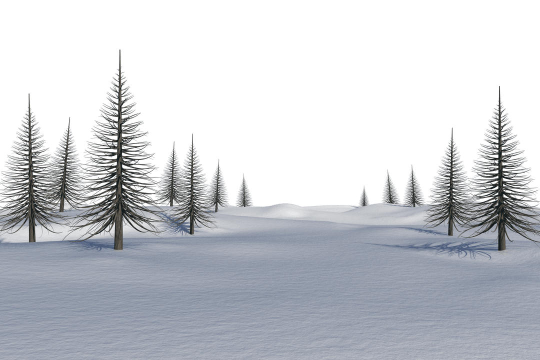 Transparent Snowy Landscape with Bare Tall Trees