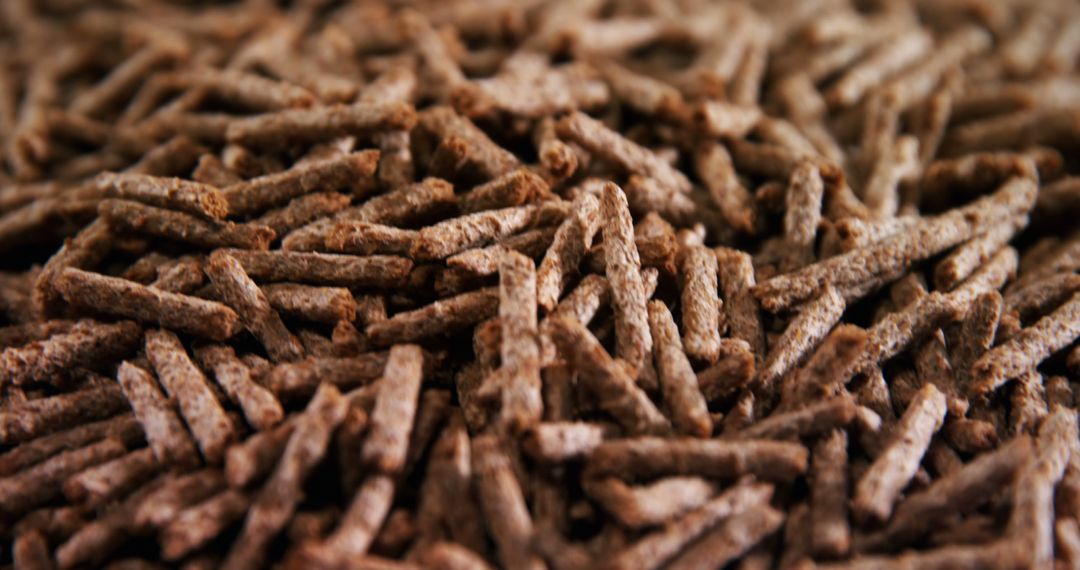 Close-Up View of Animal Feed Pellets with Textured Surface - Free Images, Stock Photos and Pictures on Pikwizard.com