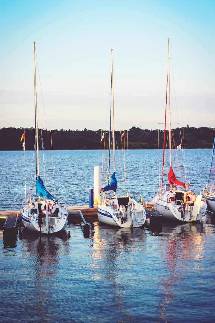 Sailboats Moored on Calm Water at Sunset - Free Images, Stock Photos and Pictures on Pikwizard.com