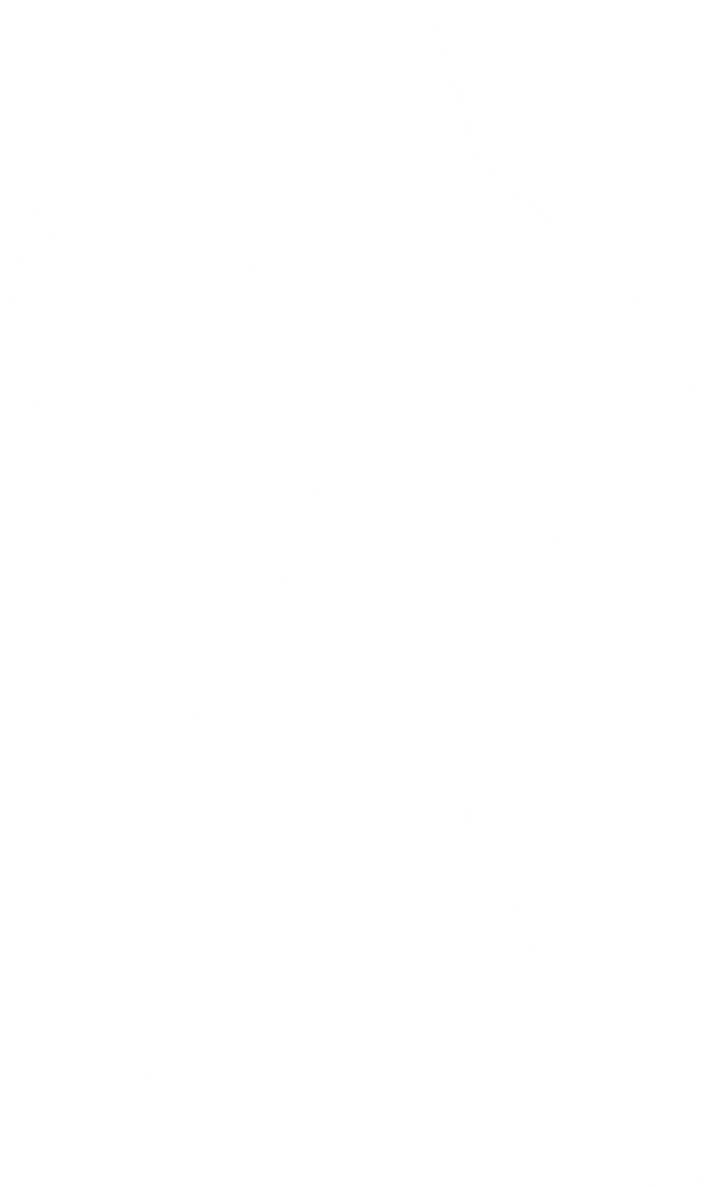 Female Martial Artist Silhouette PNG Transparent Background - Download Free Stock Images Pikwizard.com