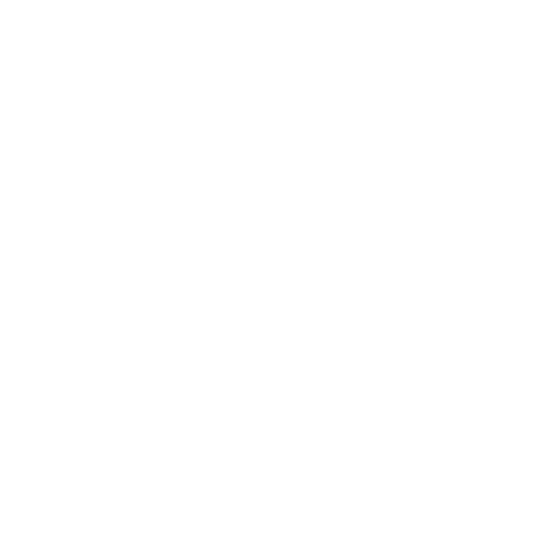 Transparent Spider Web Illustration Isolated for Nature and Wildlife Concepts