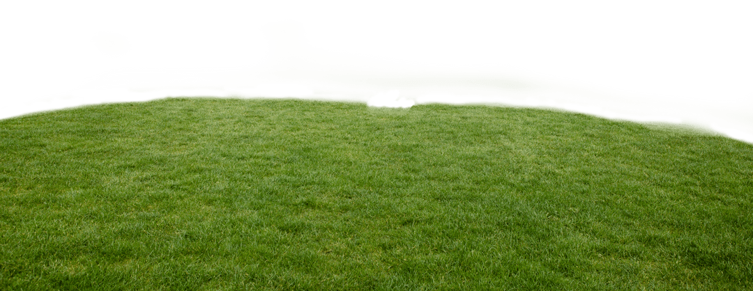 Lush Green Grass on Field with Transparent Background Vector - Download Free Stock Images Pikwizard.com