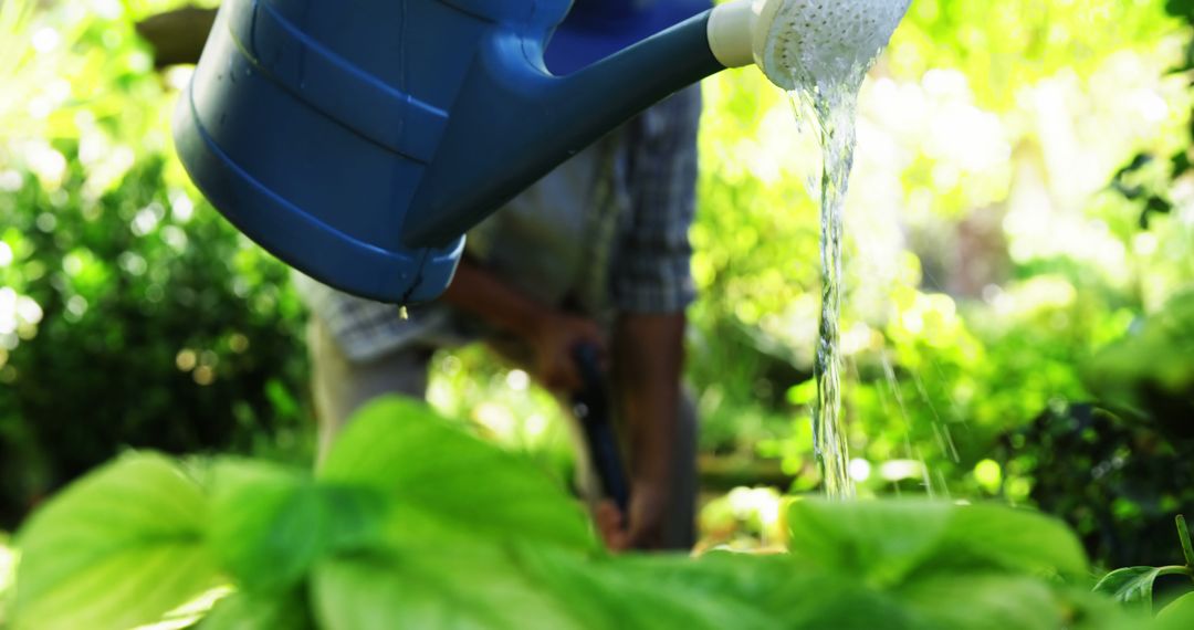 Gardener Watering Plants in Sunlit Garden - Free Images, Stock Photos and Pictures on Pikwizard.com