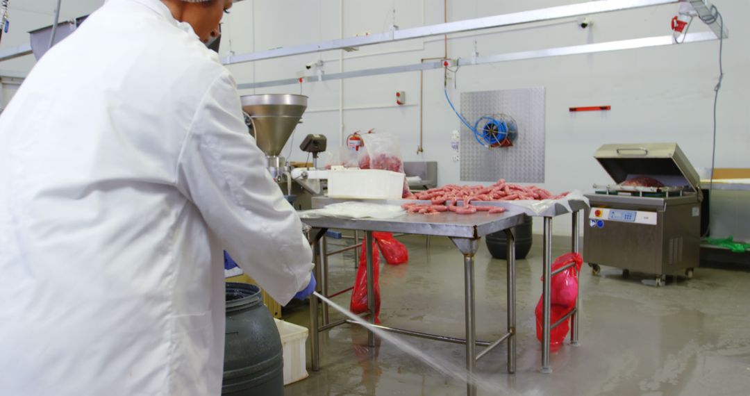 Female Butcher Maintaining Cleanliness in Meat Factory - Free Images, Stock Photos and Pictures on Pikwizard.com