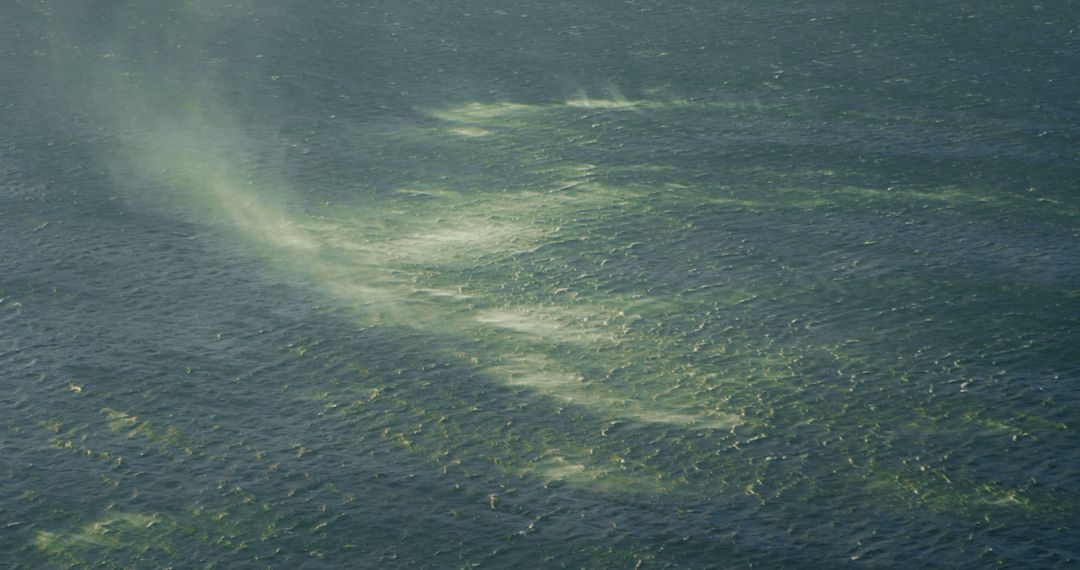 Aerial view of ocean surface with texture and light reflection - Free Images, Stock Photos and Pictures on Pikwizard.com