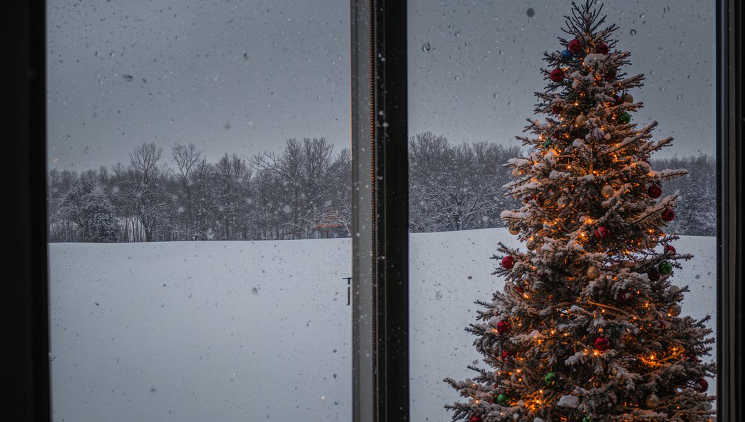 Cozy Christmas Tree by Snowy Window Evening Serenity
