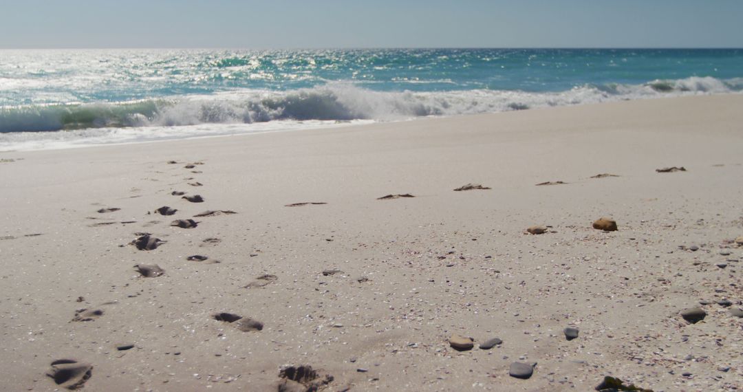 Footprints on Sandy Beach with Ocean Waves and Blue Skies - Free Images, Stock Photos and Pictures on Pikwizard.com