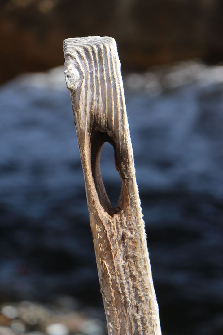 Weathered Driftwood Standing Tall Against Blue Water - Free Images, Stock Photos and Pictures on Pikwizard.com