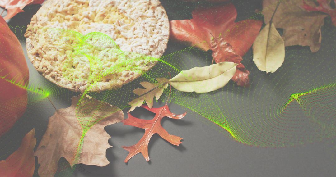 Resting crispbread with dried autumn leaves and neon green digital wave overlay