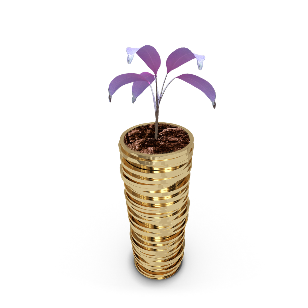 Gold Coins Flower Pot with Plant Growing on Transparent Background Concept Illustration - Download Free Stock Images Pikwizard.com