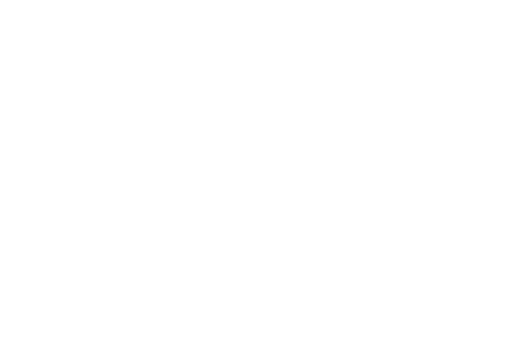 Transparent Hanging Christmas Ornaments on Branch