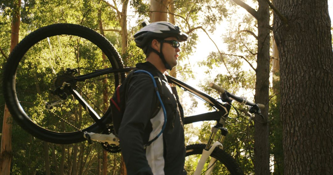 Cyclist carrying mountain bike through forest - Free Images, Stock Photos and Pictures on Pikwizard.com