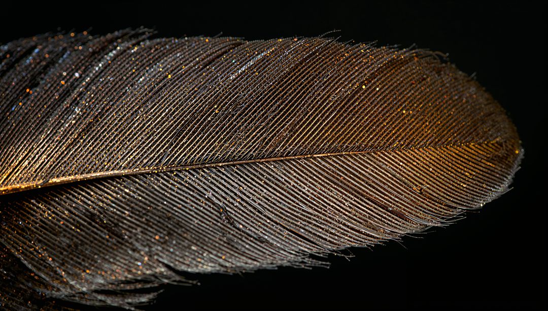 Macro metallic feather glittering with golden iridescence and fine texture on black backdrop