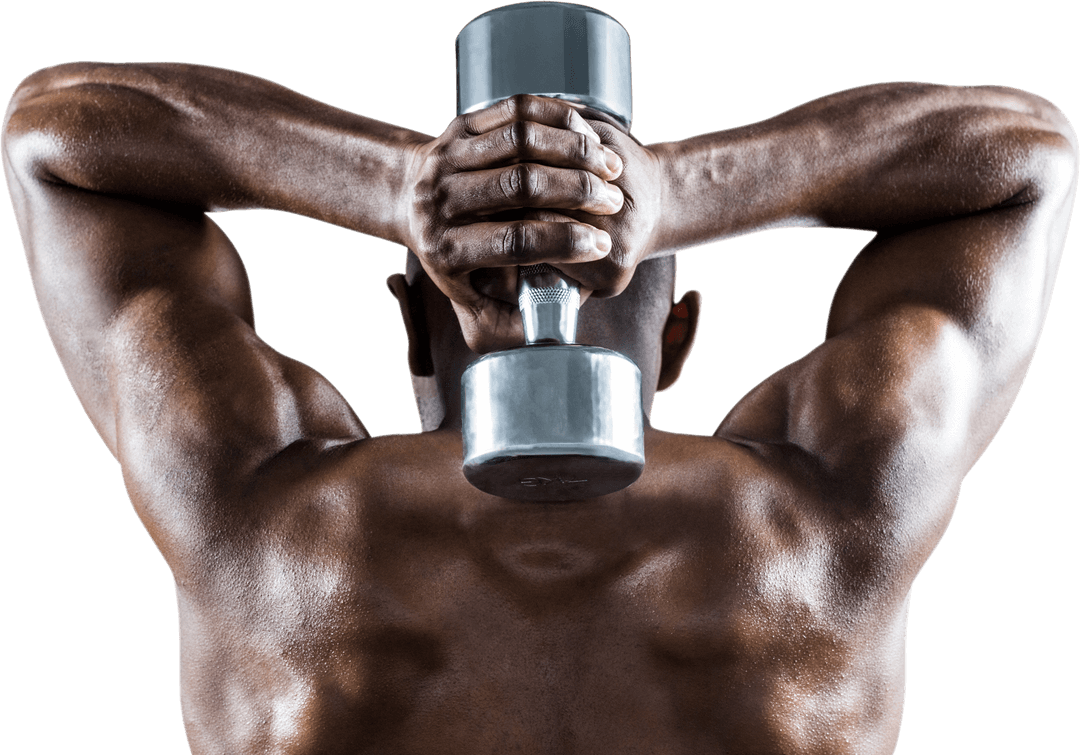 Transparent Rear View Muscular Man Lifting Dumbbell Behind Head