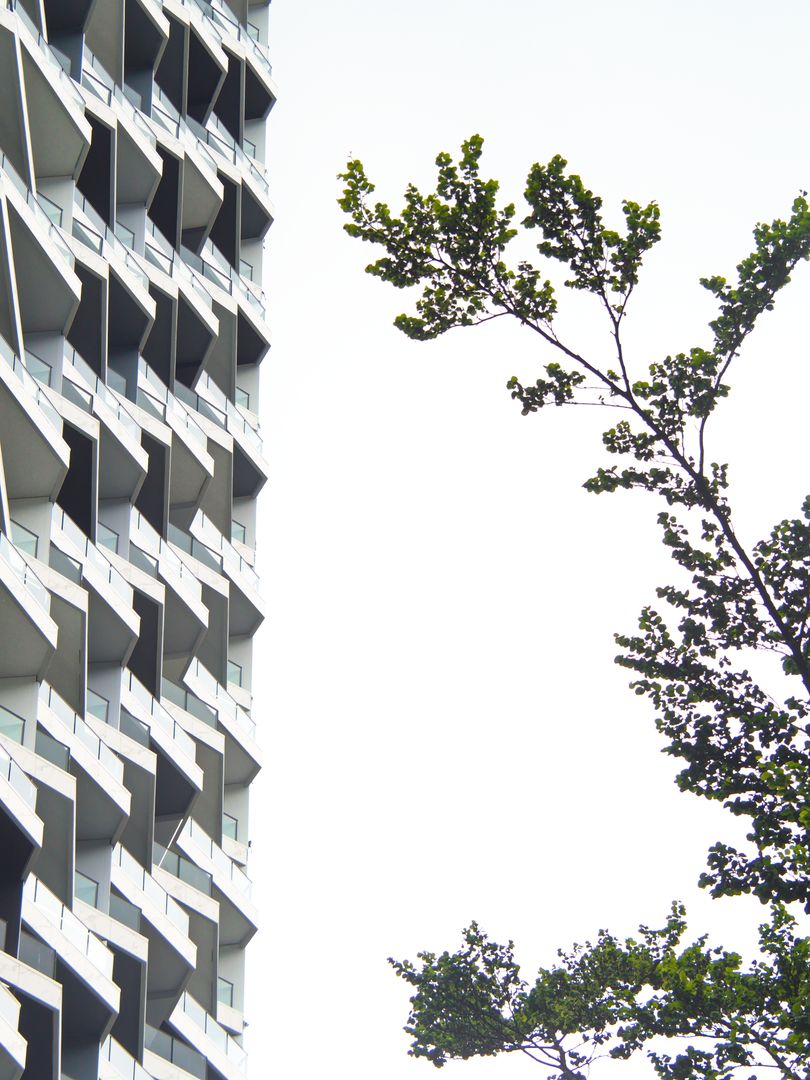 Geometric High-Rise Facade Meeting Delicate Tree Branches Creating Urban Nature Contrast