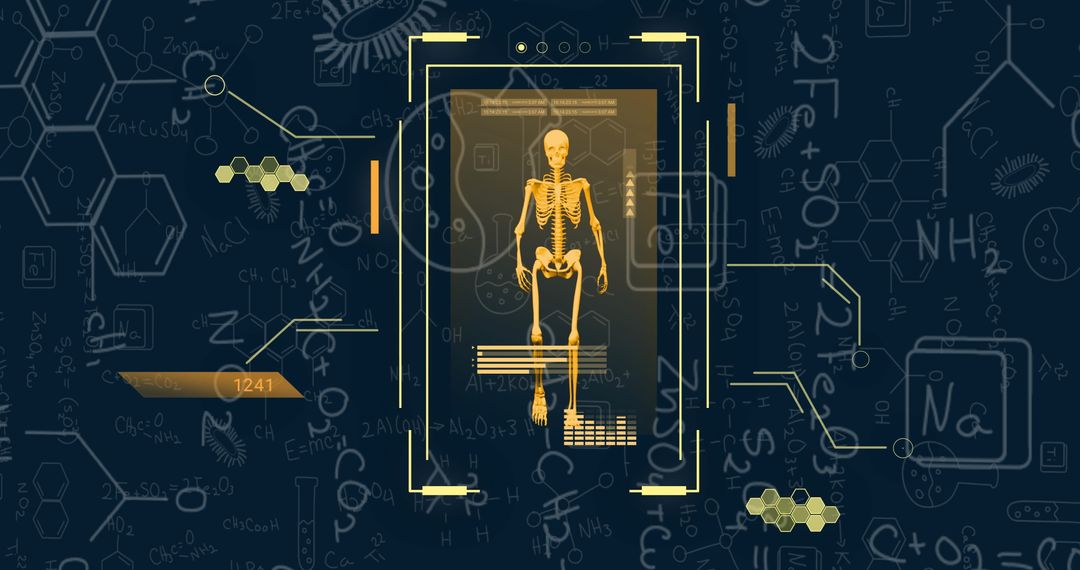 Digital Interface with Skeleton and Scientific Equations