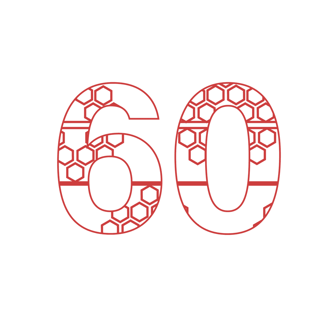 Red Number 60 with Geometric Pattern on Transparent Background