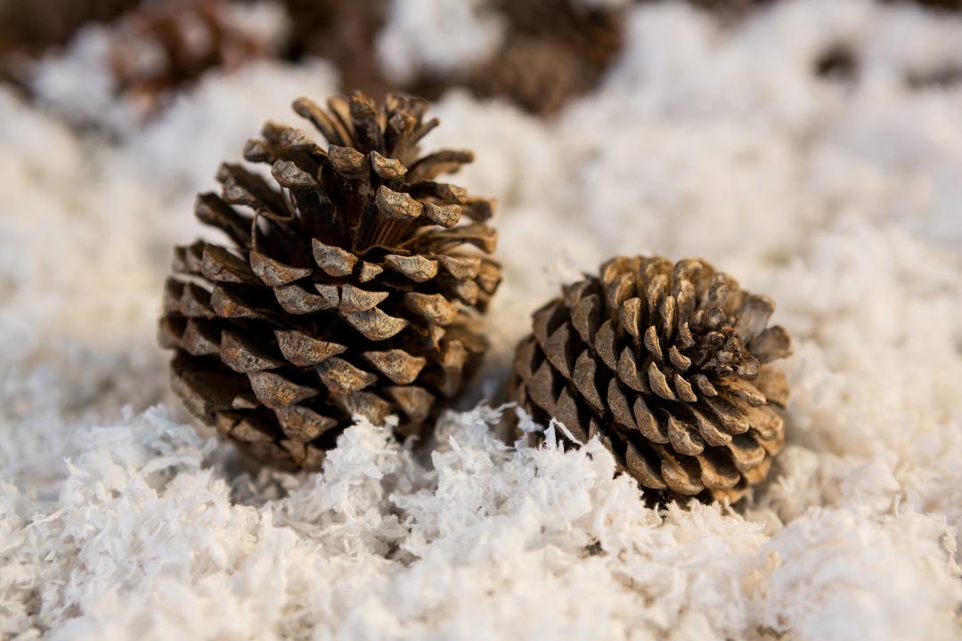 Pine cone decoration on fake snow - Free Images, Stock Photos and Pictures on Pikwizard.com