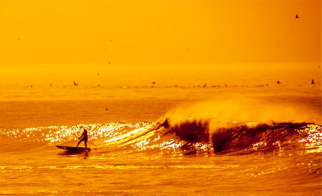 Surfer Riding Waves at Sunset in Golden Light - Free Images, Stock Photos and Pictures on Pikwizard.com