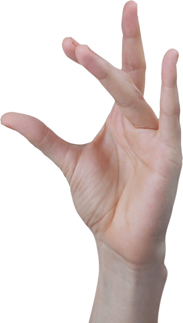 Transparent Background Left Hand Gesture Open Palms Fingers - Download Free Stock Images Pikwizard.com
