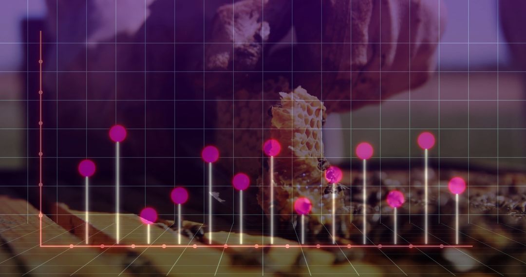 Innovative Beekeeping with Honeycomb Data Analysis
