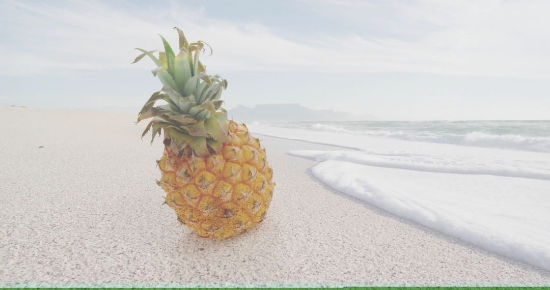 Pineapple on Sandy Beach Under Clear Sky