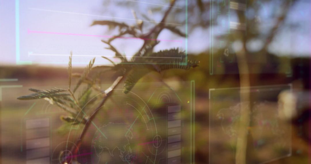 Augmented Reality Analyzing Tree Branch in Rural Landscape