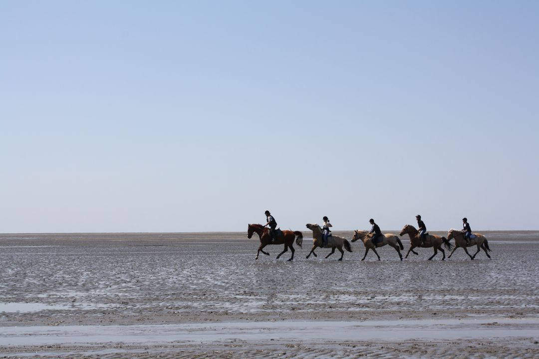 Group of Riders Horseback Riding on Beach - Free Images, Stock Photos and Pictures on Pikwizard.com