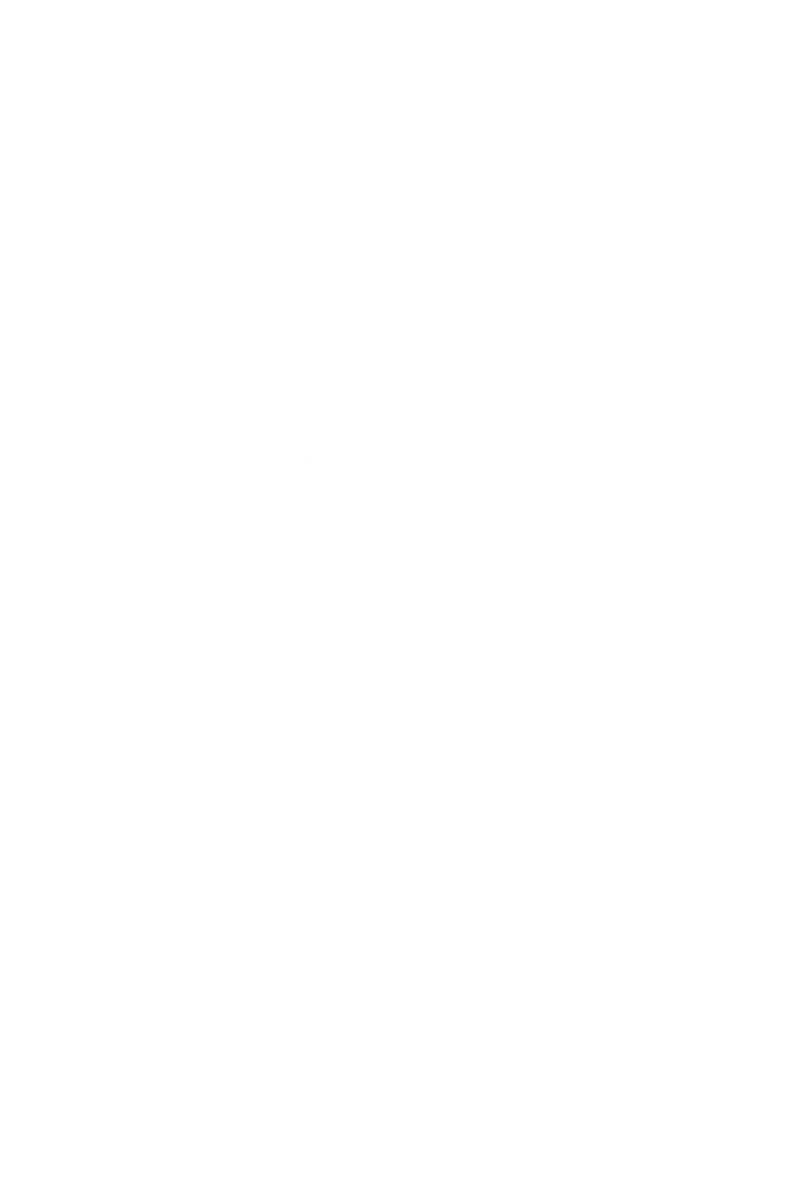 Transparent Silhouette of Male Badminton Player Vector - Download Free Stock Images Pikwizard.com