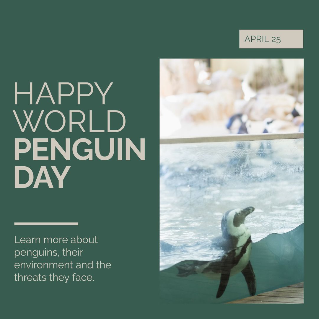 Celebrating World Penguin Day with Aquatic Penguins