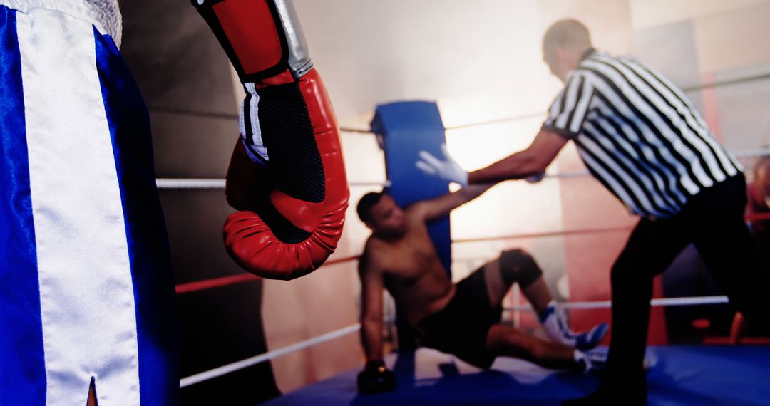 Boxer Standing Victorious After Opponent Knockdown in Boxing Match - Free Images, Stock Photos and Pictures on Pikwizard.com