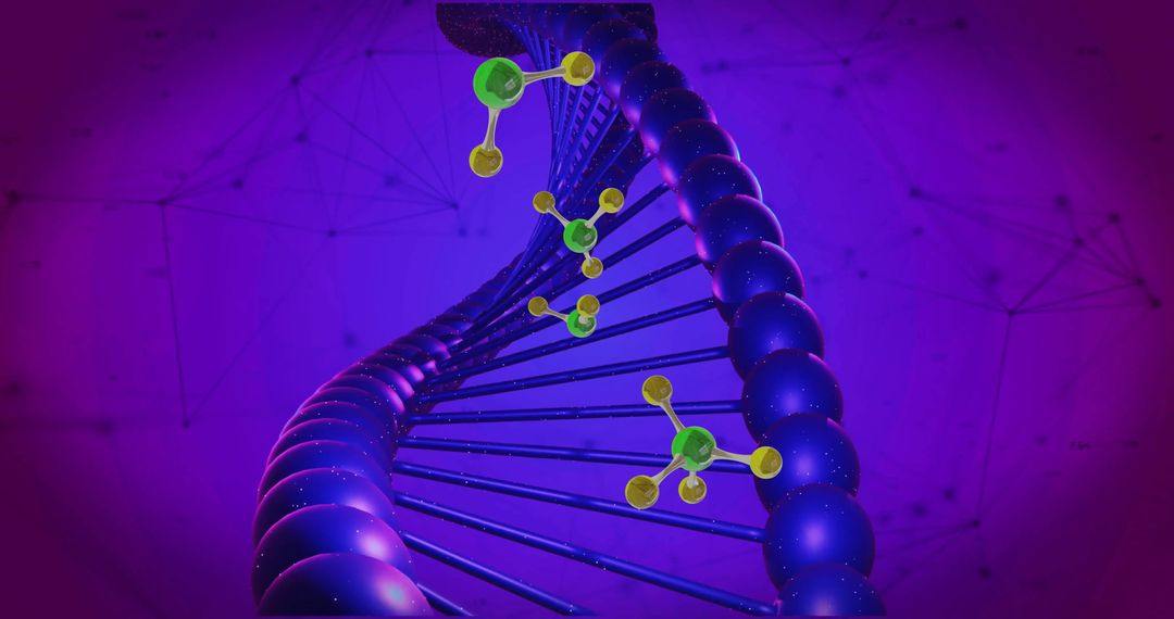 Molecules Interacting with Spinning DNA Strand in Digital Realm