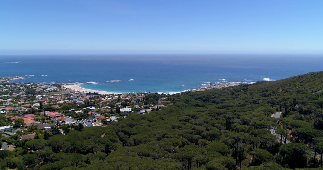 Aerial View of Coastal Town and Forest Near Ocean - Free Images, Stock Photos and Pictures on Pikwizard.com