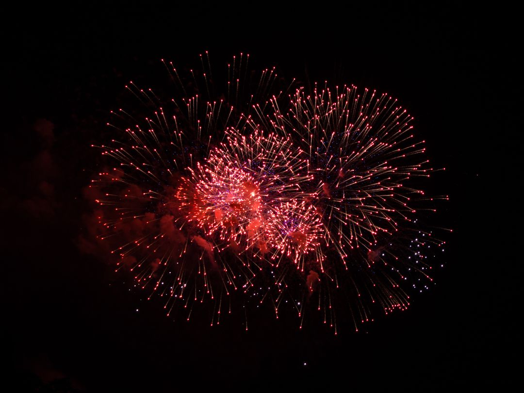 Bright Explosive Red Fireworks Display in Night Sky