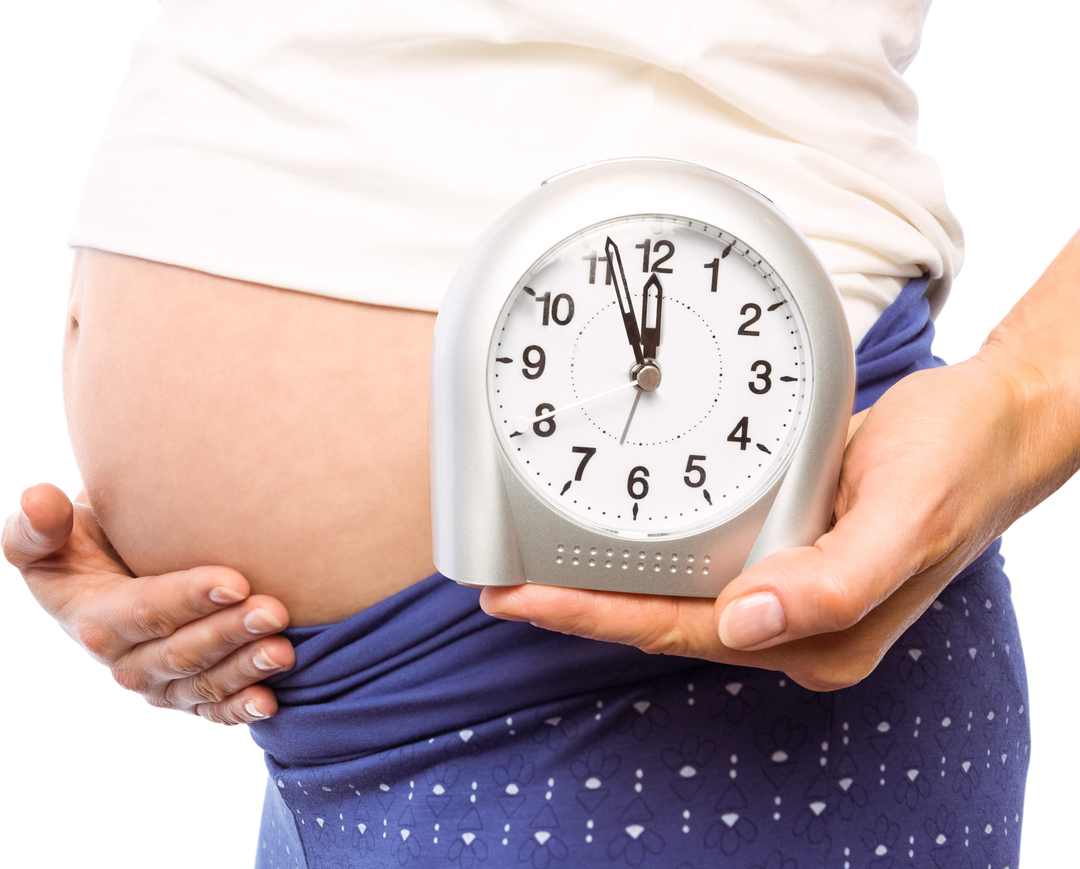 Pregnant Woman Holding Transparent Clock Near Stomach - Download Free Stock Images Pikwizard.com