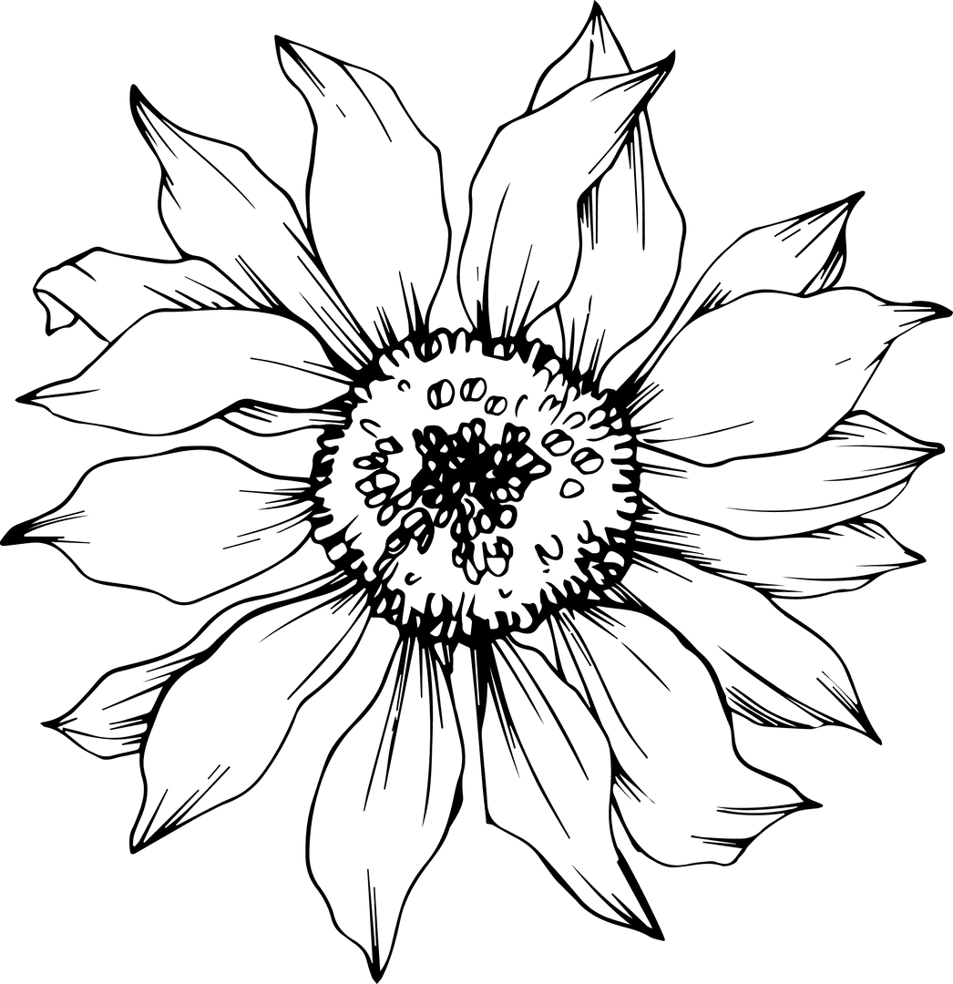 Hand-drawn Floral Sketched with Transparent Background for Design